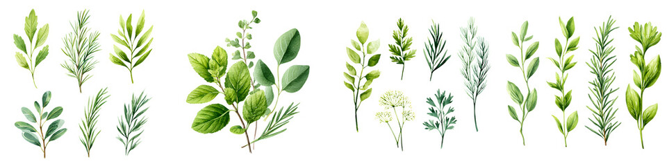 Naklejka premium Green Leaves and Branches Collection: Watercolor Botanical Illustrations