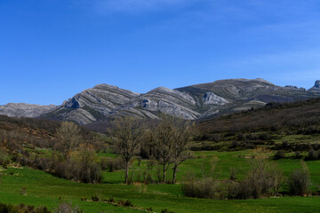 Naklejka premium Expansive view of Montana Palentina with lush valleys and mountain peaks