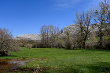 Obraz premium Expansive view of Montana Palentina with lush valleys and mountain peaks