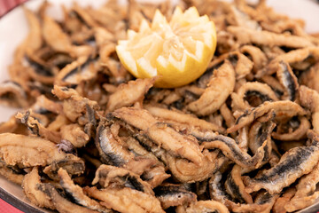 alimento, comida, aperitivo, salubre, delicioso, casero, salado, frito, mar, chipirones, exquisito, rico, sabroso, macro, zoom, boquerones