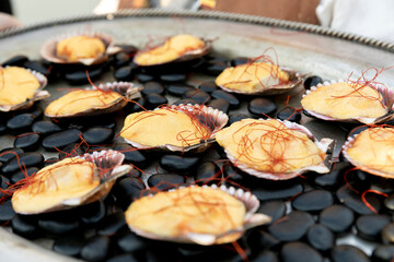 alimento, cena, comida, delicioso, cocina, salubre, a la parrilla, epicúreo, fresco, almejas, mar, sodio, rico, sabroso, apetitoso, frío, salado, concha, concha de mar, mejillones