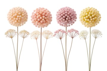 Four pastel colored decorative floral stems with spherical blooms