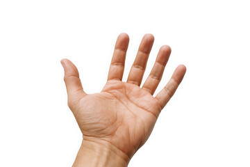 A close-up view of an open hand, showcasing well-defined fingers and a natural skin tone, symbolizing communication and connection.