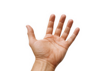 A close-up view of an open hand, showcasing well-defined fingers and a natural skin tone, symbolizing communication and connection.