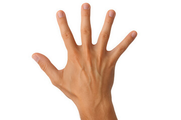 A close-up of a male hand showing five fingers against a transparent background, highlighting details of the skin texture.