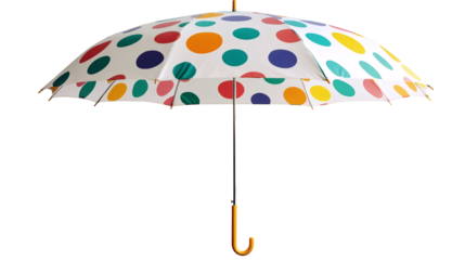 Bright Color Umbrella