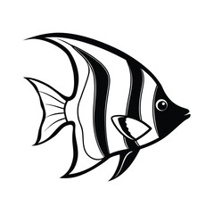 freshwater angelfish outline illustration