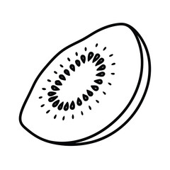 hand drawn kiwi slice illustration