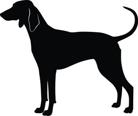Elegant Hound Dog Silhouette: A Sleek and Graceful Canine Profile for Pet-Related Designs, Representing Loyalty, Agility, and Companionship.