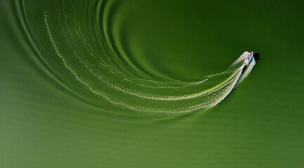 Aerial view of a boat slicing through the murky green water, leaving a swirling white wake in its path, Kharkiv, Kharkiv Oblast, Ukraine.