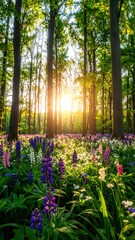 Sunlight streams through a forest filled with wildflowers