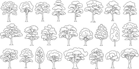 Cad tree line minimal style, set of graphics trees elements outline symbol for architecture and landscape design drawing. Vector illustration