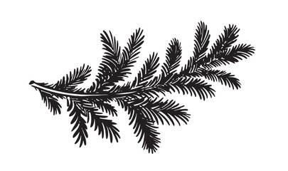 Christmas tree branch hand drawn	
