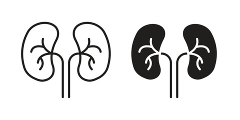 Kidneys icon vector in simple flat design, outline.