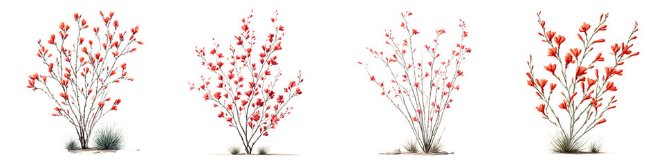 Naklejka premium Set of Red Watercolor Floral Bushes on White Background