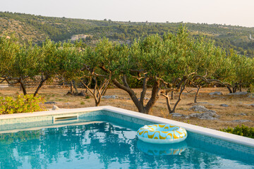 Swimming pool garden and olive trees of typical summer villa on the island of Brac in Croatia