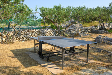 Ping pong table in a summer garden with olive trees. Croatia