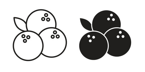 Blueberries icon vector in simple flat design, outline.