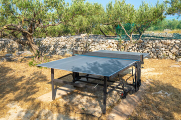 Ping pong table in a summer garden with olive trees. Croatia