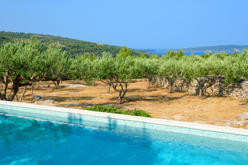 Swimming pool garden and olive trees of typical summer villa on the island of Brac in Croatia