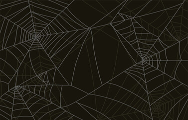 Spider web vector background.eps