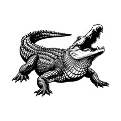 Silhouette of an alligator in profile isolated on white background