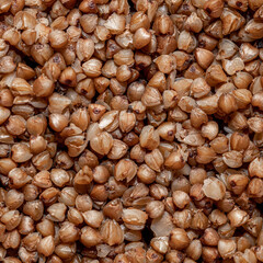 Plate with tasty buckwheat porridg.Boiled buckwheat porridge in ceramic pot on wooden background.