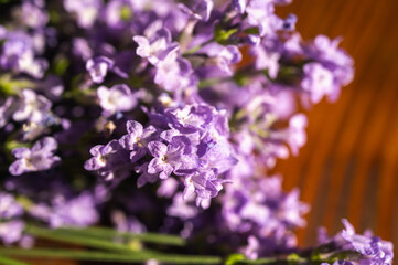 Macro shot of a fresh lavender bouquet on a rustic wooden background in warm sunlight. Aromatherapy, spa, and wellness concept with copy space