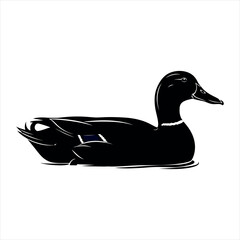 Graceful duck silhouette in flight isolated on white background