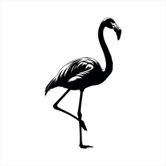 Elegant flamingo silhouette in profile isolated on white background © Sujon