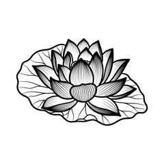 Elegant lotus flower silhouette isolated on white background