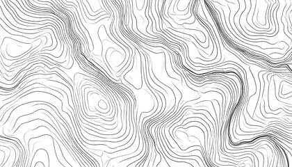 High Contrast Monochrome Vector Topographic Lines Forming Abstract Geometric Pattern