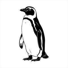 Obraz premium Charming penguin silhouette in black and white isolated on a clean white background isolated on white background