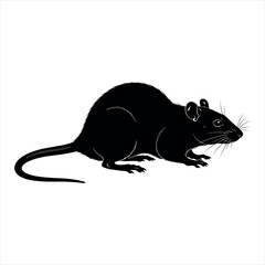 A detailed silhouette of a rat isolated on a white background isolated on white background