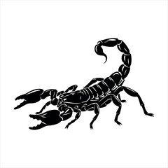 Detailed scorpion silhouette vector design isolated on white background