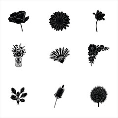 Collection of delicate flower silhouettes isolated on white background