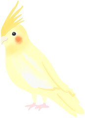 illustration of a yellow bird