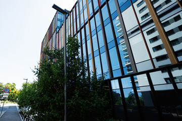 Urban street with modern glass office buildings and fresh green foliage