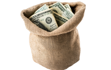 Dollar Bills in a full bag on white background,png