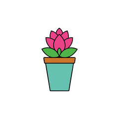 pink flower in pot