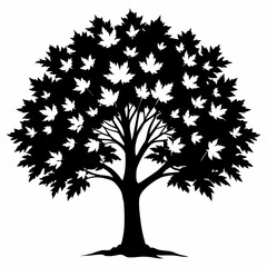 maple tree silhouette vector 
