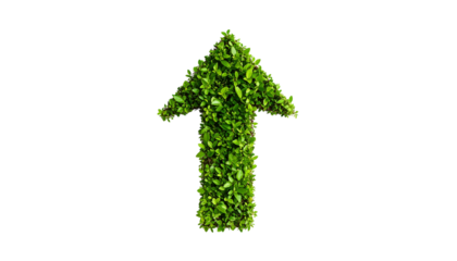 Green arrow shape formed by growing plants and leaves isolated on solid white background in Png