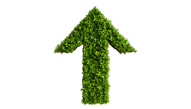 Green arrow shape formed by growing plants and leaves isolated on solid white background Png