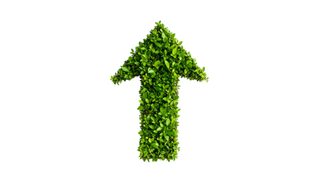 Green arrow shape formed by growing plants and leaves isolated on solid white background in Png