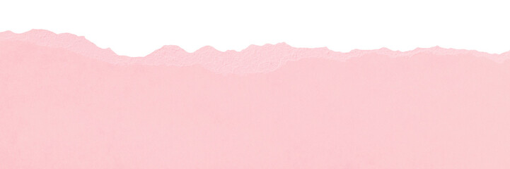 Torn edge textured pale pink paper isolated with copy space for design