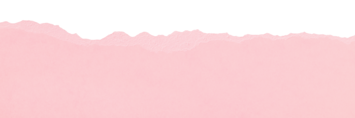 Torn edge textured pale pink paper isolated with copy space for design