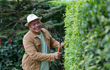 Happy retirement senior asian gardener use his pruning shears to trim off the hedge wall in his garden for weekend activities and hobby concept