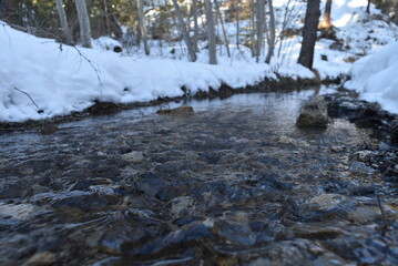 Eau claire qui ruisselle dans une forêt enneigée en montagne.