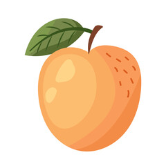 An illustration of a fresh peach along with a leaf, showcasing its vibrant colors and appeal