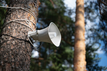 A loudspeaker is mounted on a tree, blending seamlessly into the natural environment
